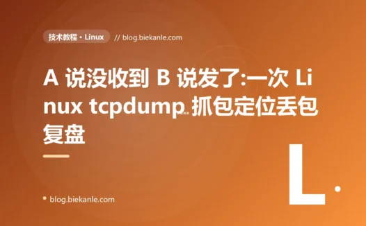 A 说没收到 B 说发了:一次 Linux tcpdump 抓包定位丢包复盘