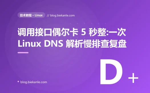 调用接口偶尔卡 5 秒整:一次 Linux DNS 解析慢排查复盘