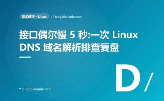 接口偶尔慢 5 秒:一次 Linux DNS 域名解析排查复盘