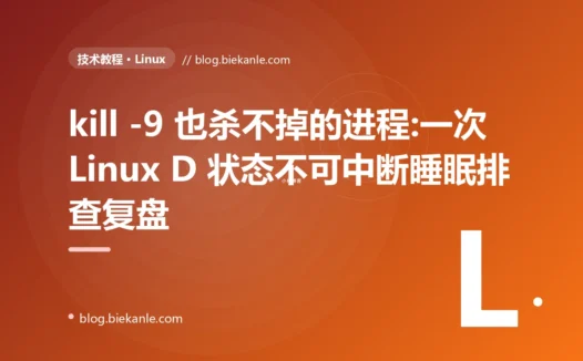 kill -9 也杀不掉的进程:一次 Linux D 状态不可中断睡眠排查复盘
