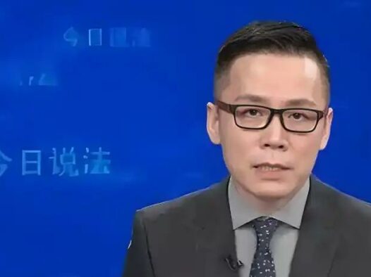 11月03日,星期一!《今日说法》主持人被骗1000元买茶叶?高中生缅北51天惊魂!